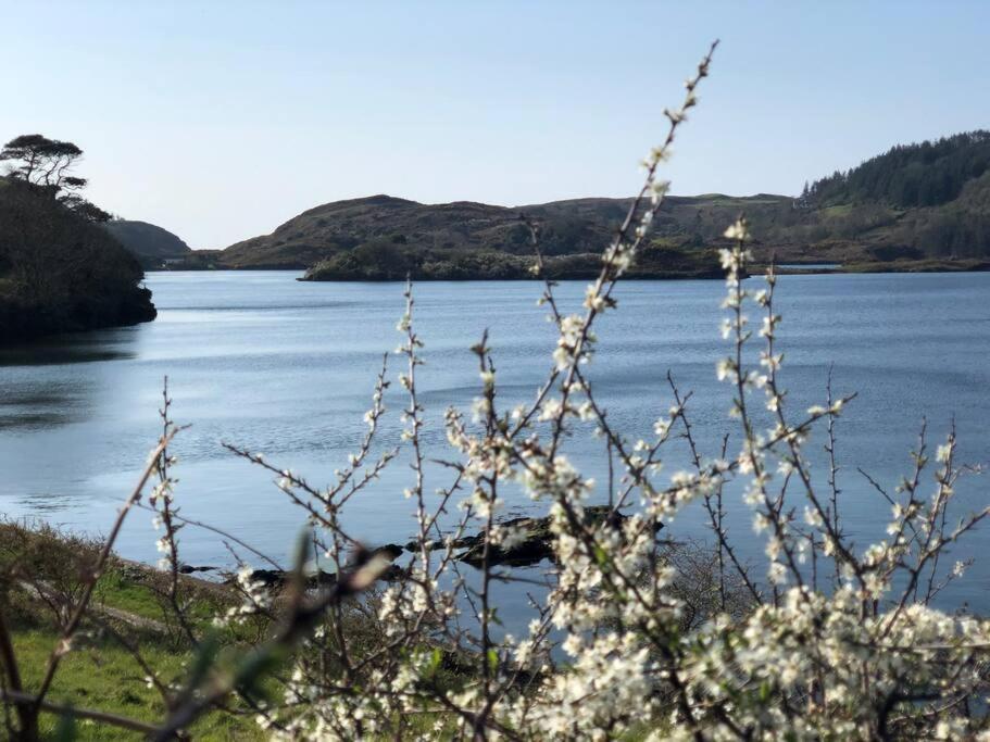 Lough Hyne Cottage สกิบเบอรีน ภายนอก รูปภาพ